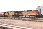 Tied down grain train waits in the yard